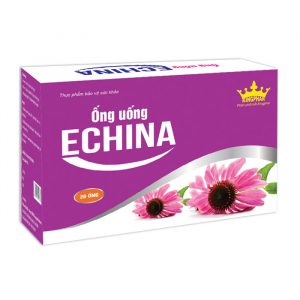 Nước uống Kingphar Echina 20 ống