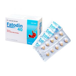 DHG Fatodin 40 100 viên