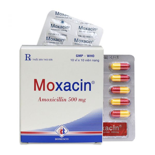 Moxacin 500mg Domesco 10 vỉ x 10 viên