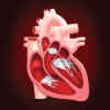 Bệnh van tim: nguyên nhân và cách điều trị