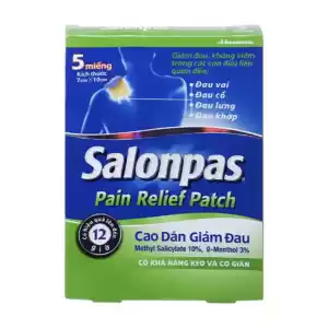 Salonpas Pain Relief Patch 5 miếng