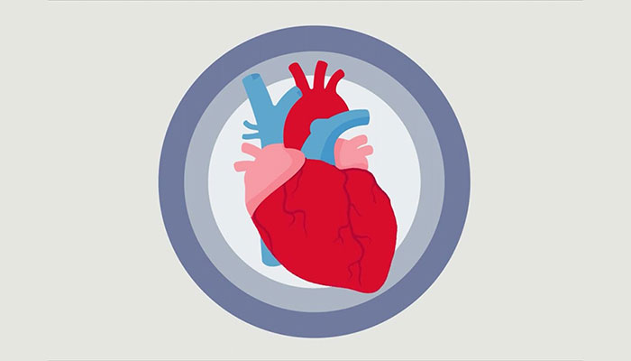 Suy tim: nguyên nhân và cách điều trị