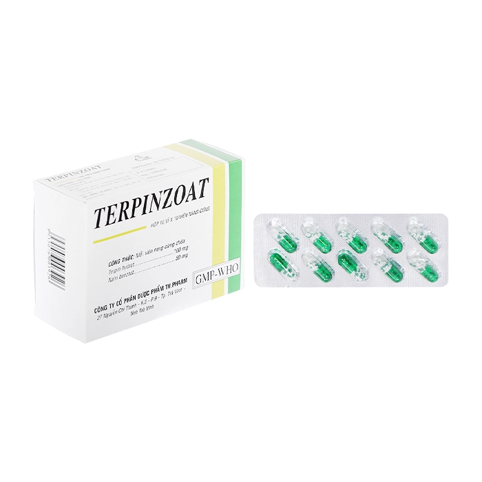 Terpinzoat TV.Pharm 10 vỉ x 10 viên - Hỗ trợ điều trị các triệu chứng ho